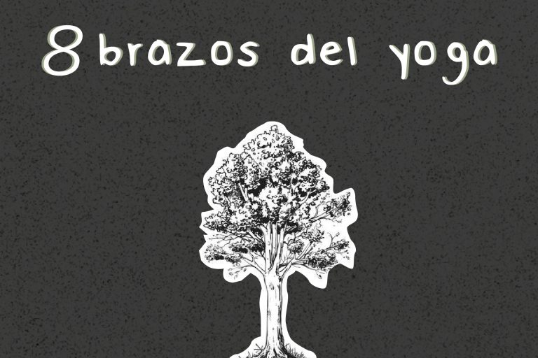 8 brazos del yoga